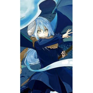 That Time I Got Reincarnated As A Slime 13 (ISBN: 9781646510078)