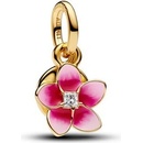 Pandora 763845C01