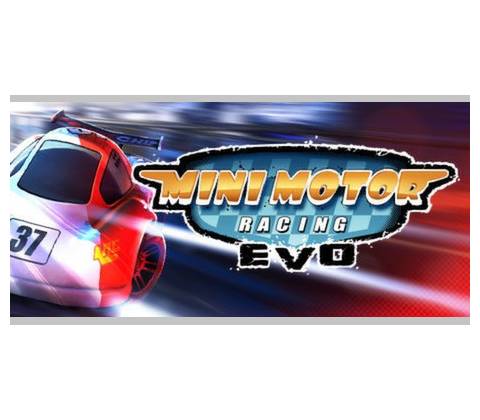 Mini Motor Racing EVO
