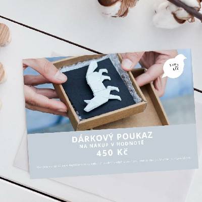 Dárkový poukaz 450 Kč