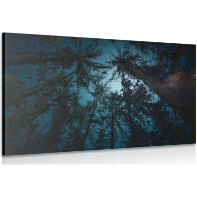 Obraz noc v lese - 30x20