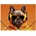Panta Plast Гумена папка, 15 мм, PP, A4, PANTA PLAST, "Cool dog (0410-0064-60)