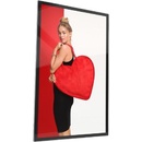 Image 1 of Allsee Slimline Pro PF22HD10