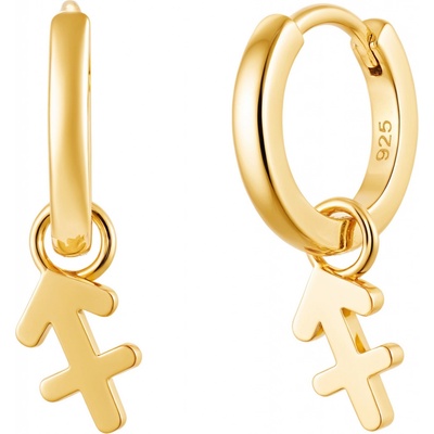 Olivie Stříbrné náušnice STŘELEC GOLD 9595