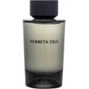 Kenneth Cole For Him toaletní voda pánská 100 ml
