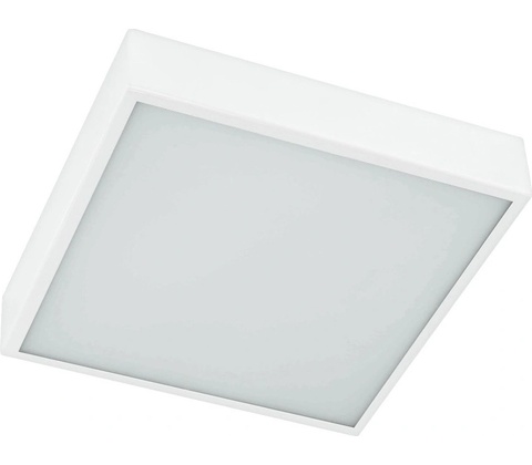 Prezent 8038