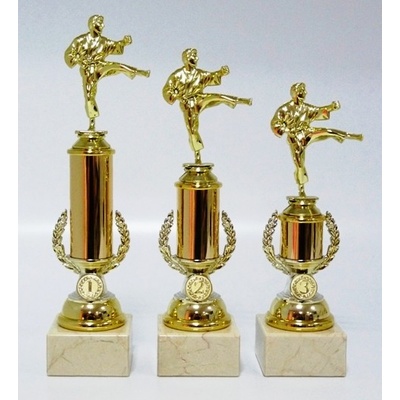 VIZINGR Karate trofeje MUŽ 25-F10 26,5 cm