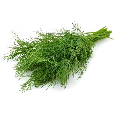 Metro Chef Kopr čerstvý 100 g