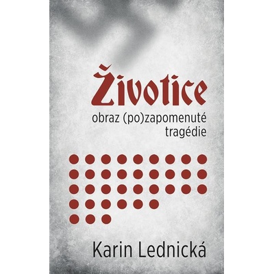 Životiceobraz po zapomenuté tragédie - Karin Lednická