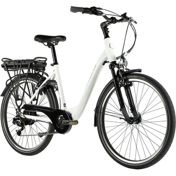 Leader Fox Latona 2 2024