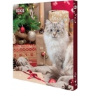 Krmivo pre mačky Trixie Adventní kalendář pro kočky 380 g