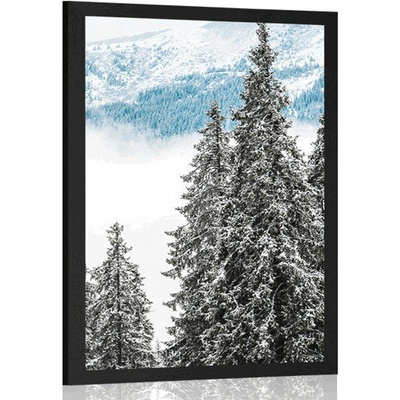 Plakát zasněžené borové stromy - 30x45 white