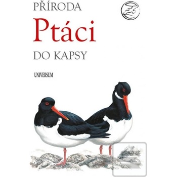 Pt áci