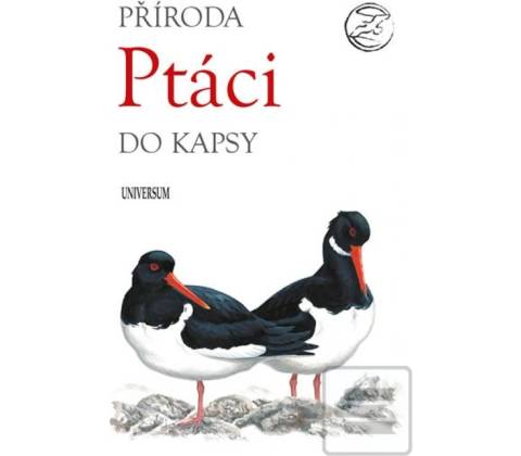 Pt áci