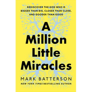 A Million Little Miracles | BATTERSON MARK (ISBN: 9780593192818)
