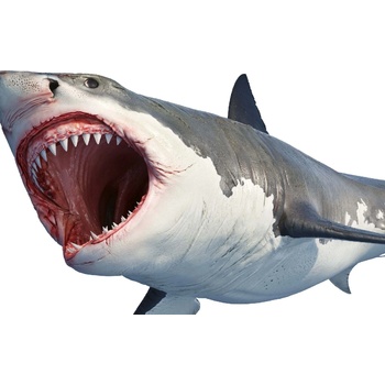DIMEX ART s. r. o Флизелинов фототапет голяма бяла акула 375 x 250 см