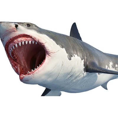 DIMEX ART Флизелинов фототапет голяма бяла акула 375 x 250 см