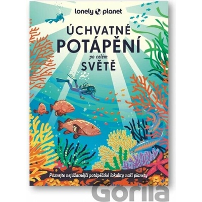 Úchvatné potápění po celém světě - Lonely Planet - kol.