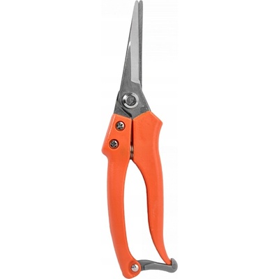 Bradas V5 KT-V5
