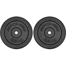 Spokey SINIS Litinový kotouč 29 mm 2,5 kg