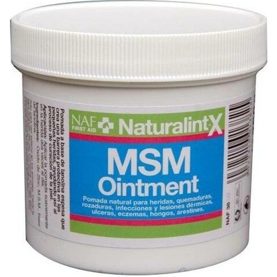NAF NaturalintX MSM hojivá mast se zinkem 250 g