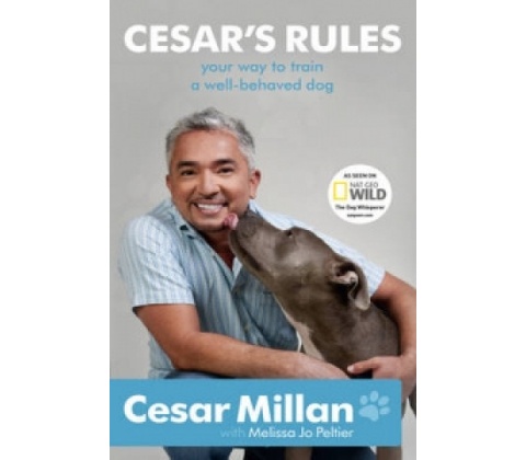 Cesars Rules