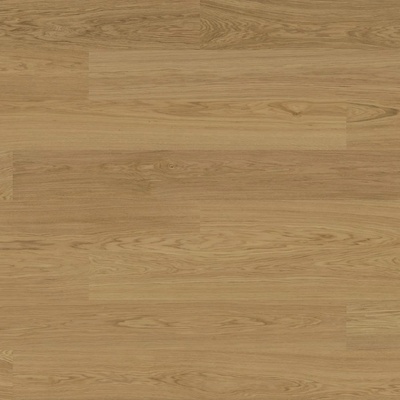 Bjelin Dub Mölle XL 345028 1 m²