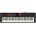 Casio CT-S1000V