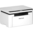 Pantum BM2300W