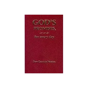 God's Promises for Every Day | Jack Countryman, A. Gill (ISBN: 9780849962684)