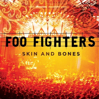 Foo Fighters Skin And Bones