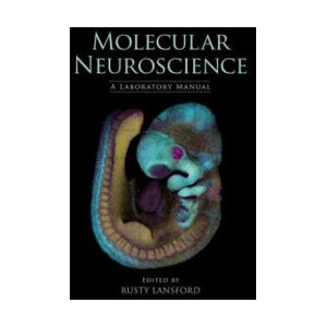 Molecular Neuroscience (ISBN: 9781621820147)