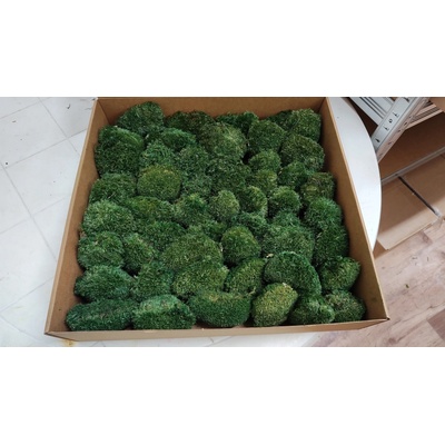 Stabilizovaný mach kopcovitý - MINI Ball Moss tmavo zelený