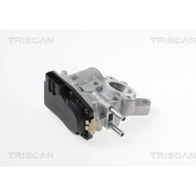 AGR - Ventil TRISCAN 8813 14100