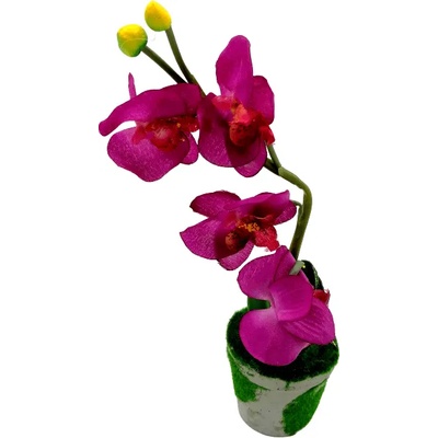 Quanzhou Yixin Commerce & Trade Co. , Ltd Орхидеи в саксийка 41621