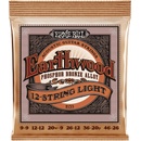 ERNIE BALL 2153