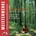 VIVALDI: FOUR SEASONS CD