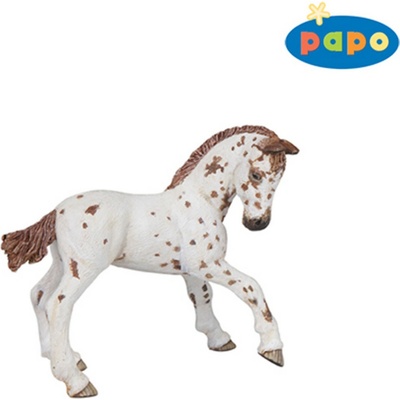 Apaloosa mládě