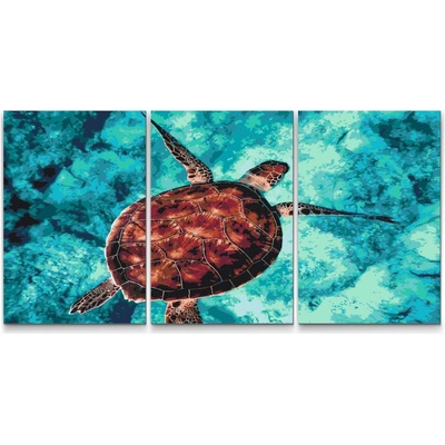 Painting Queens Painting Queens Mořská želva sada 3 ks 60 x 80 cm na rámu PBNSET/03SEATURTLE/60 x 80_60 x 80_60 x 80/W