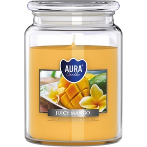 BISPOL Ароматна свещ Bispol Aura - Juicy Mango, 500 g (snd99-475)