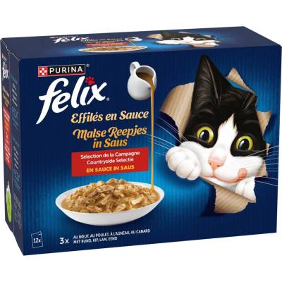 Felix Gravy Lover Countryside Selection hovězí, kuře, jehněčí, kachna 24 x 85 g