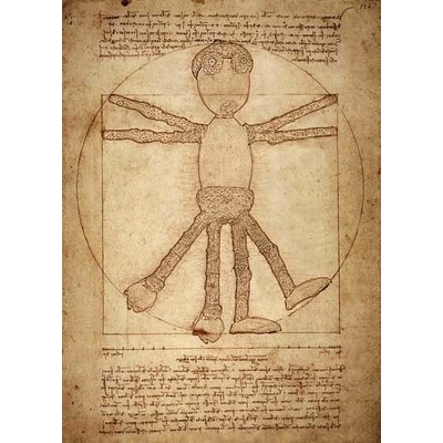 Pohlednice Leonardo da Dubánek