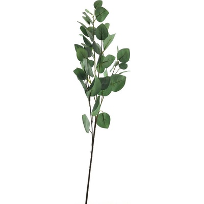 Blahovičník - Eukalyptus 'Maddy' (spray) V96 cm