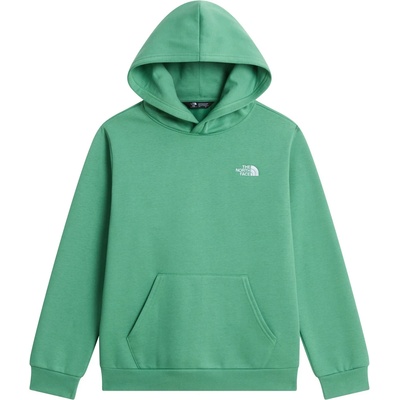 The North Face Детски суичър The North Face Kid's Evolution Simple Dome Pullover Hood Hoodie - Dimmed Algae - размер XXL (704-6510-0216)
