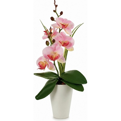 Ibergarden Orchidej v bílém květináči Rosa 37 cm