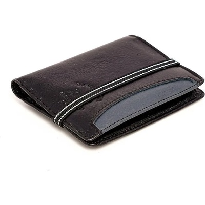 David polo. v David polo visitor 3