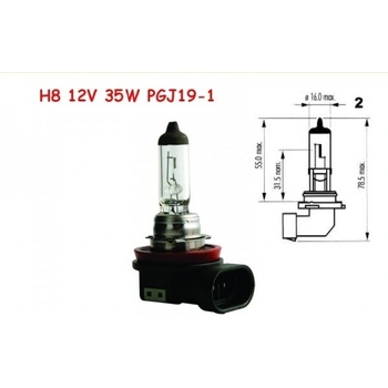 Narva H8 PGJ19-1 12V 35W