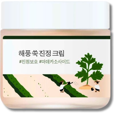 ROUND LAB - Mugwort Calming Cream 80ml