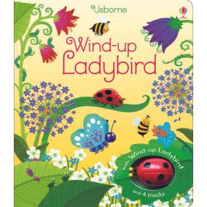 Wind-up Ladybird (2015)