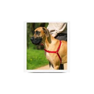 PetSafe postroj EasyWalk L
